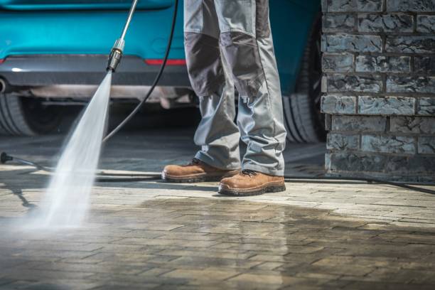 Best Pre-Holiday Cleaning  in Chebanse, IL